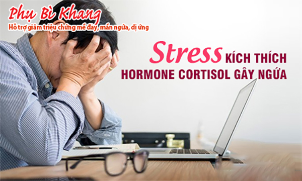 Stress kích thích hormone cortisol gây ngứa